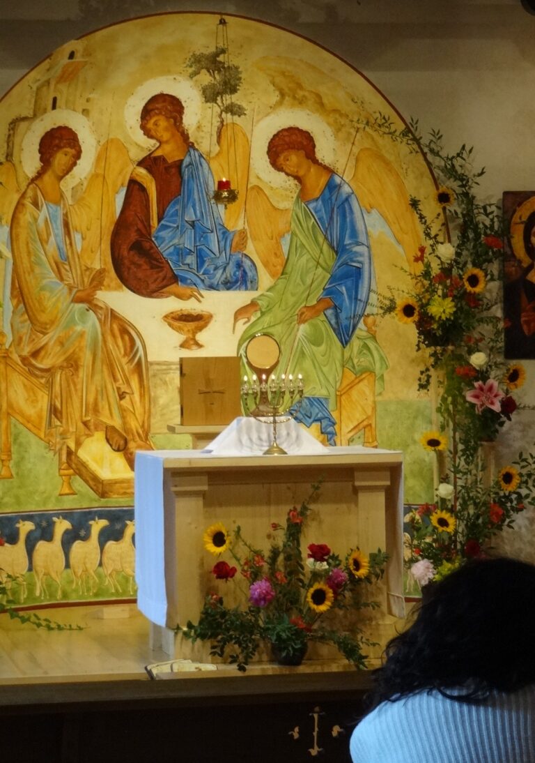 DSC06131 1 768x1094 1